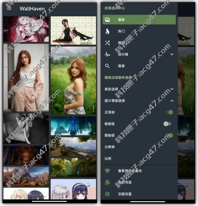 WallHaven手机客户端_v6.6.6，世界顶级壁纸站，输入API可看特殊资源！-科技匣子