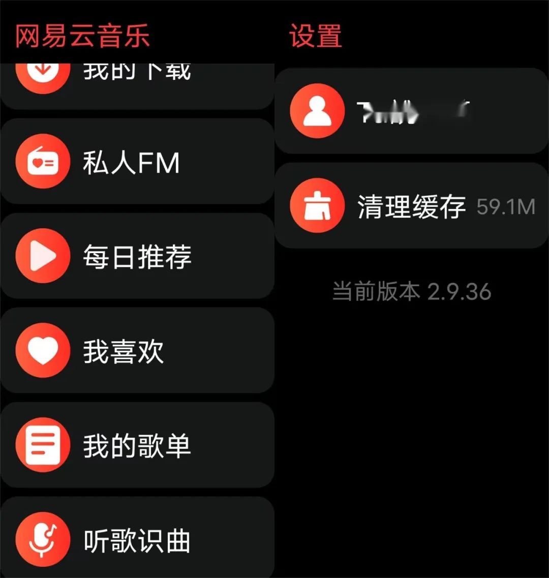 图片[3]-抖音、网易云音乐App手表提取版，大小仅5M不到，简洁到极致！-科技匣子