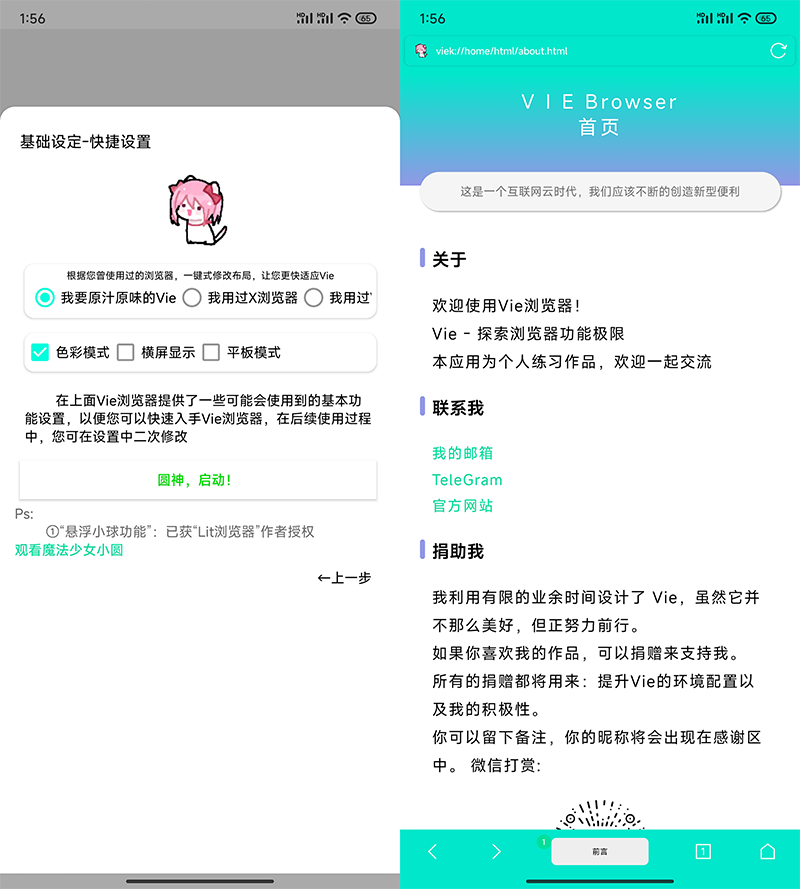 图片[3]-Vie浏览器App，免费开源“小而全”的安卓浏览器！-科技匣子